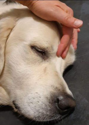 Cindy crop Cindy crop