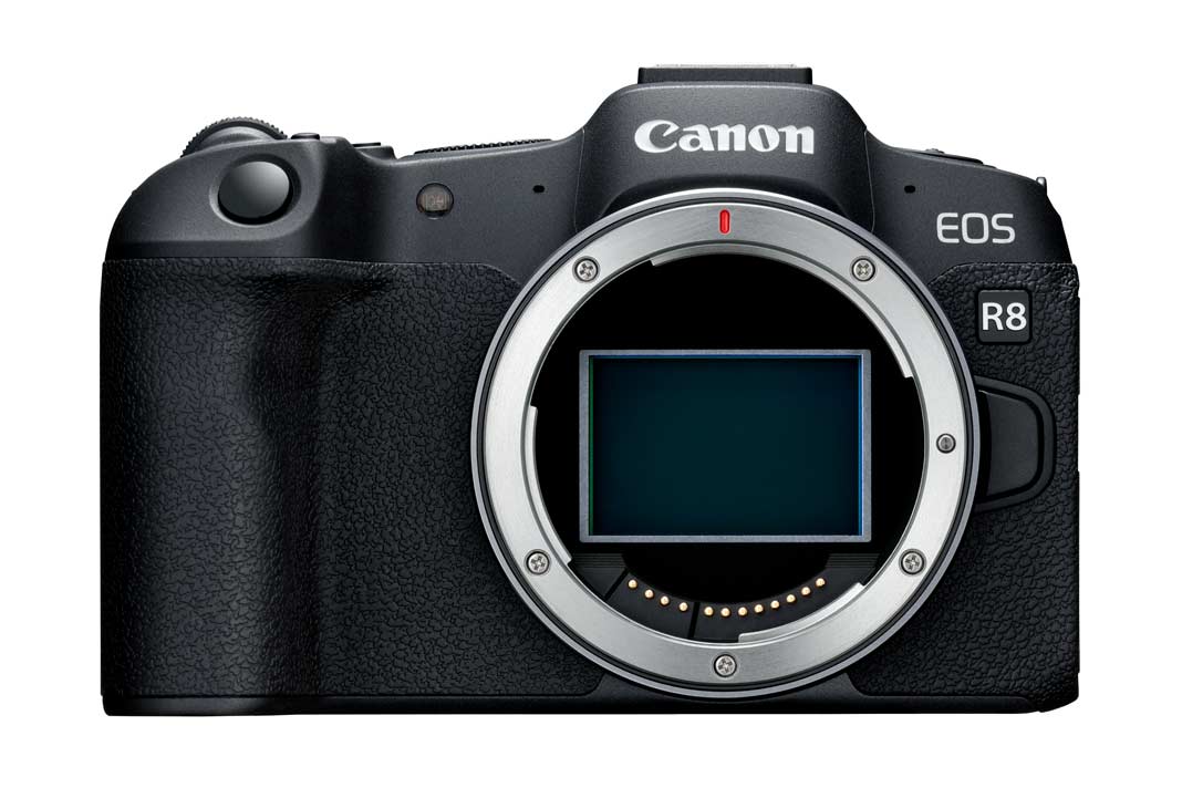 Die Canon EOS R8 ohne Objektiv