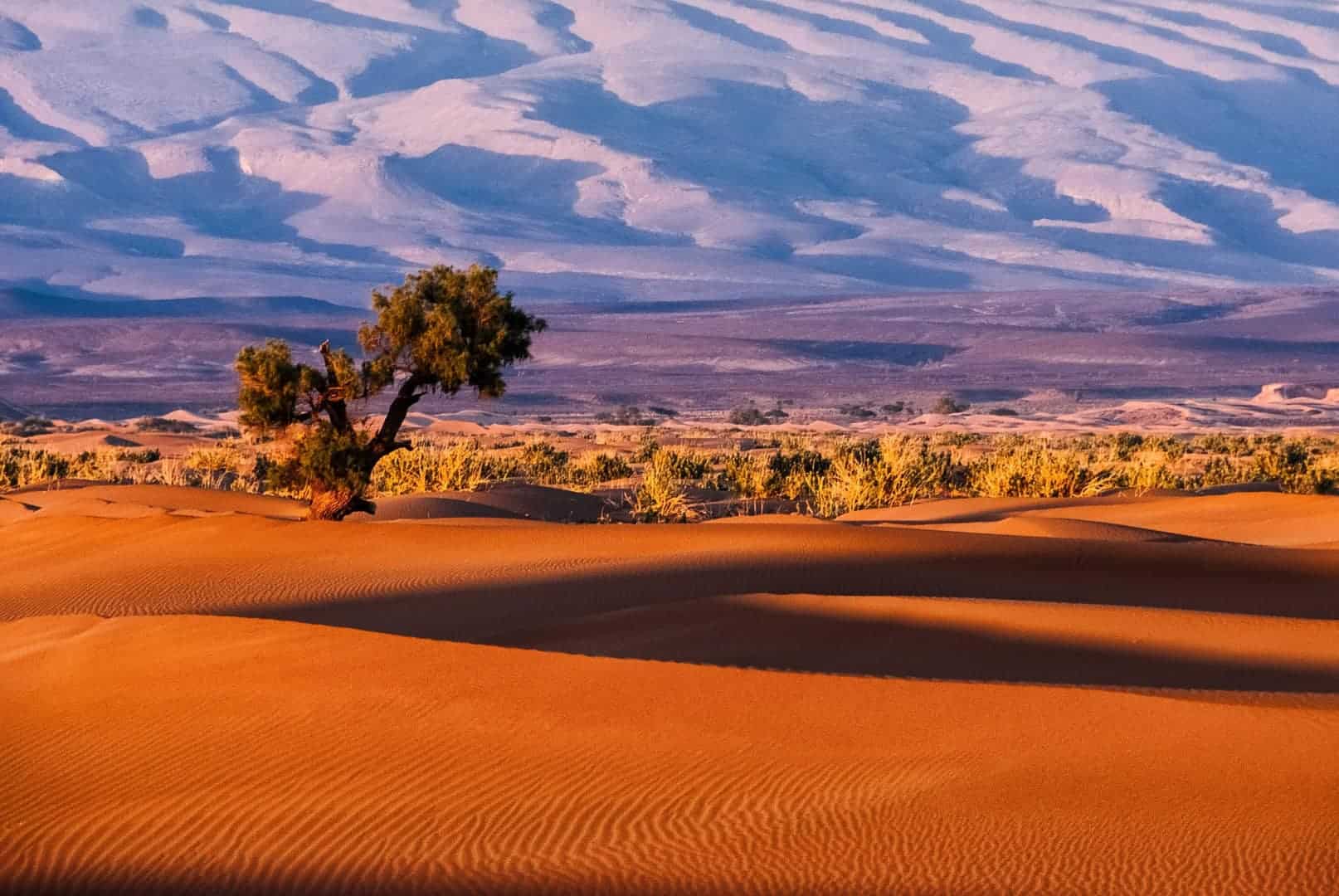 moroccoculturetravel-morocco-Erg-Chigaga-dunes-guided-tours-in-Marrakech