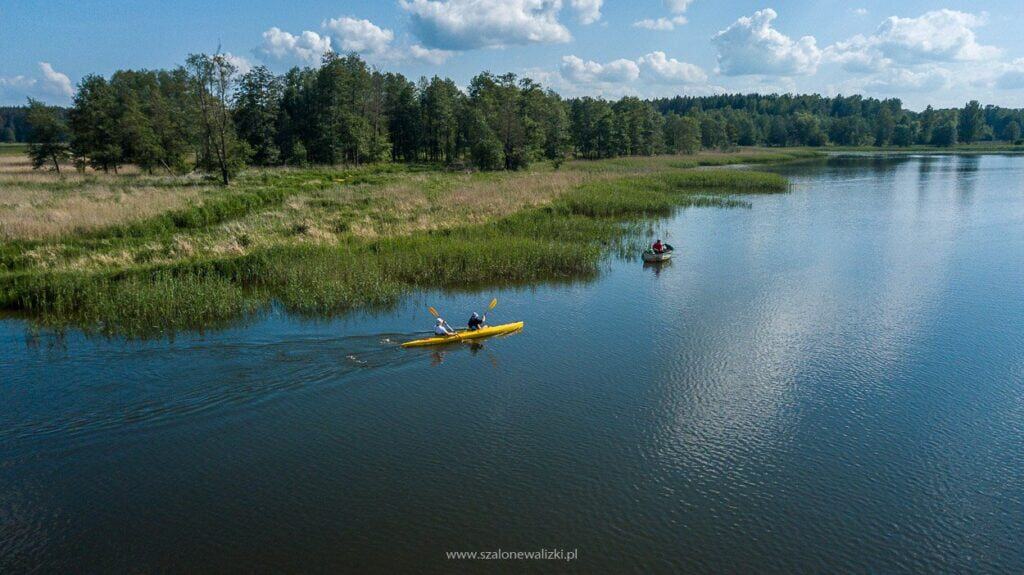 dzikie mazury