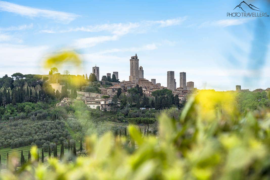 Der Blick durch bunte Blumen hindurch auf die Türme von San Gimignano