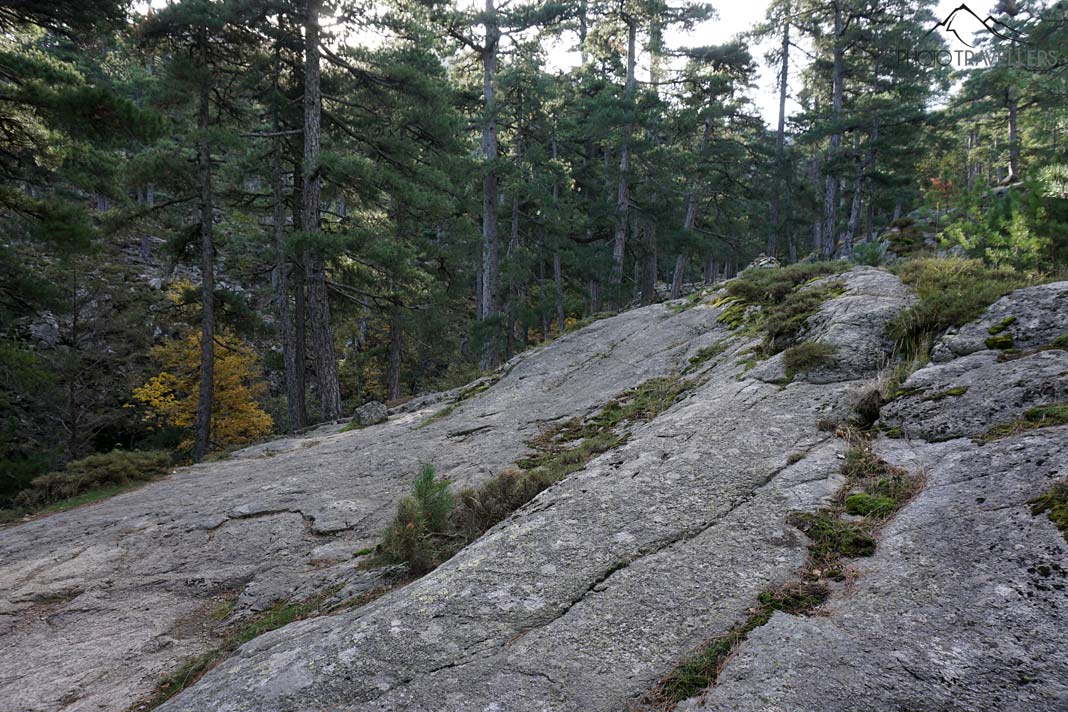 Eine große Steinplatte, die man auf der Wanderung zum Ninosee quert