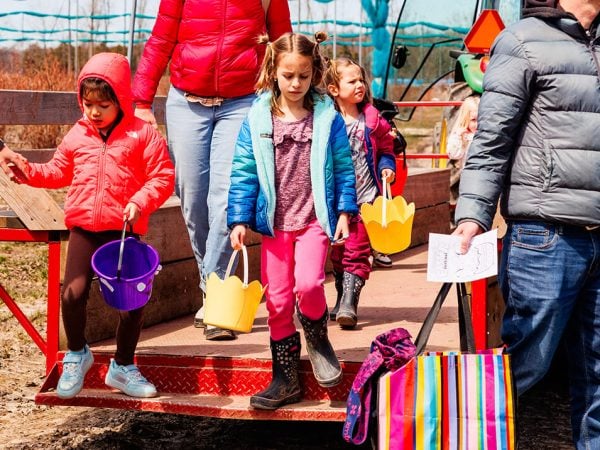 arriving to fields arriving to fields