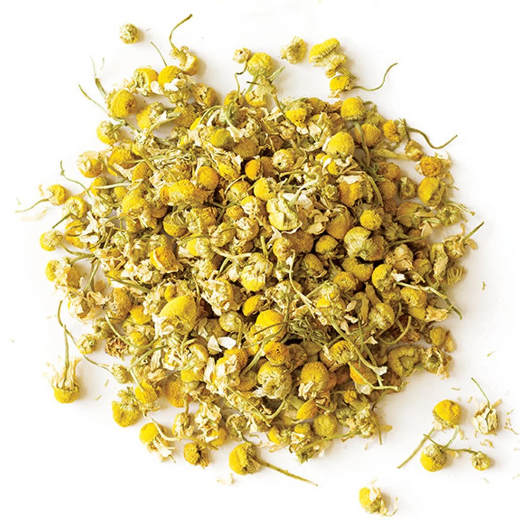 Welcome to Leo Season 16 Kjahli