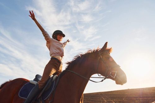 Young woman in protective hat with her horse in agriculture field at sunny daytime Young woman in protective hat with her horse in agriculture field at sunny daytime.