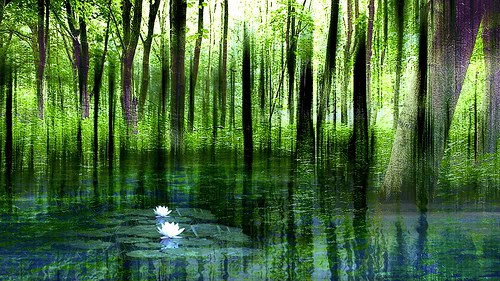 uanta-meditacion-es-necesaria-para-obtener-un-beneficio