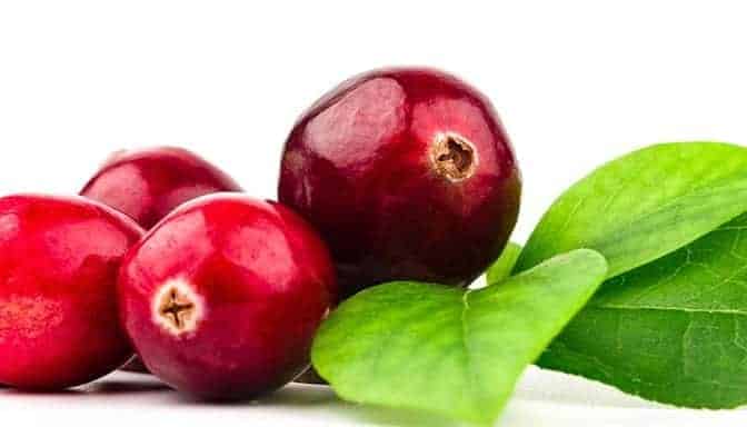 CRANBERRIES BUILD IMMUNE SUPPORT 3 cranberry antioxidants