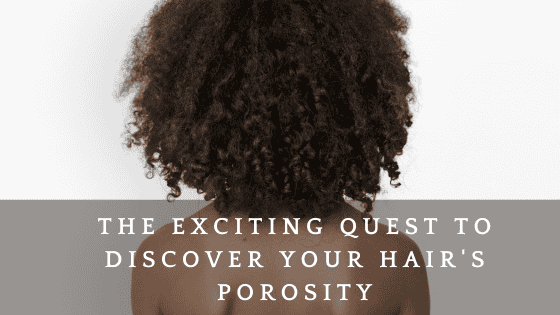 the exciting quest to discover your hair's porosity