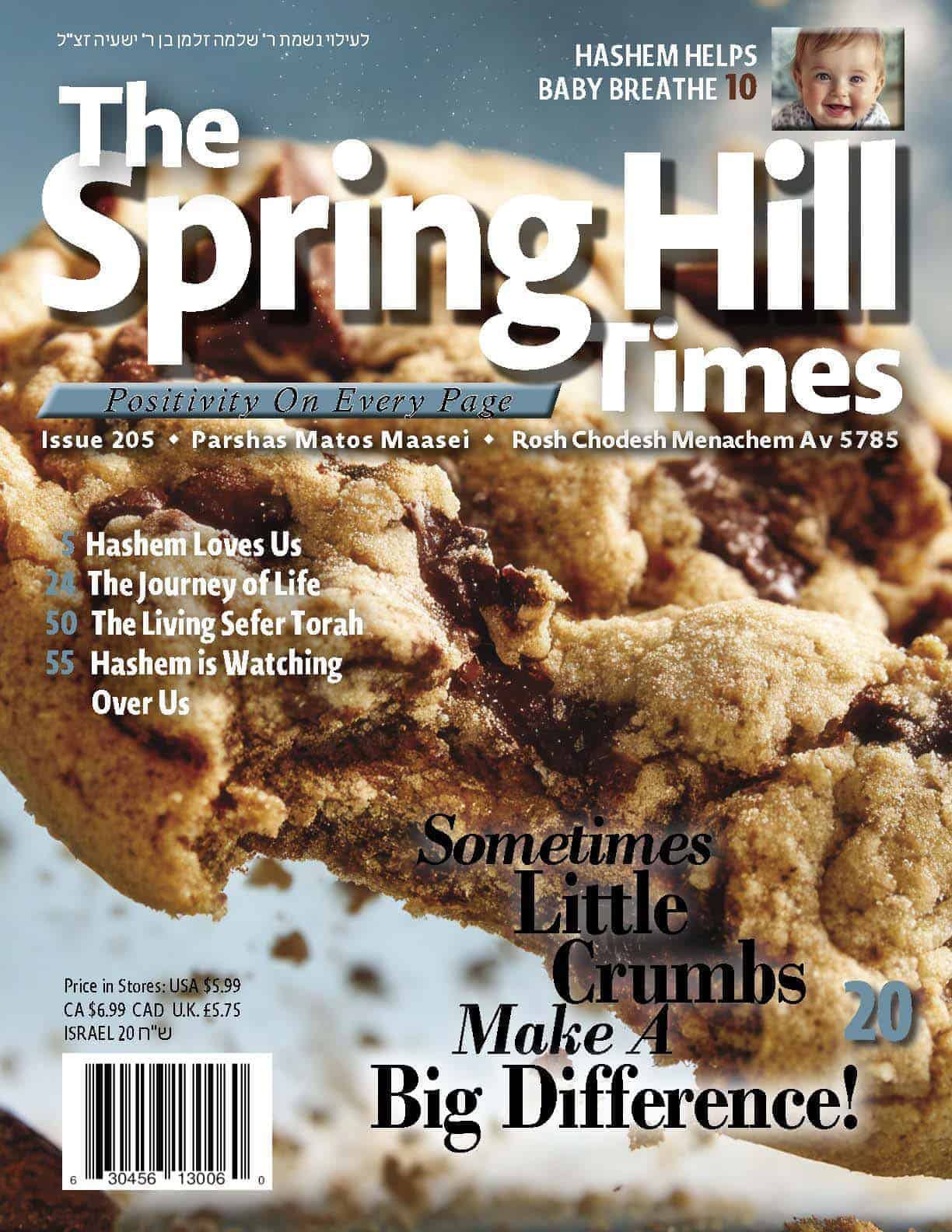 The Spring Hill Times Issue 205 Matos Ma'asei 5785
