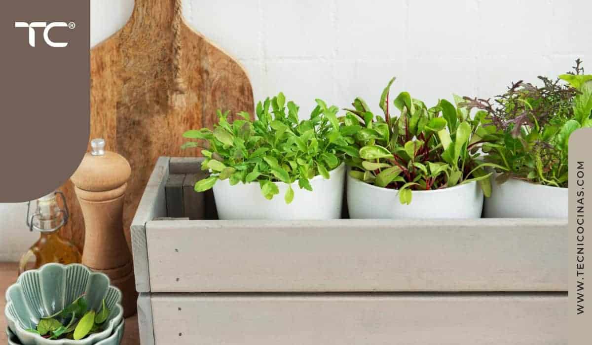 Huerto aromático en cocina moderna con hierbas frescas en materas blancas sobre caja de madera