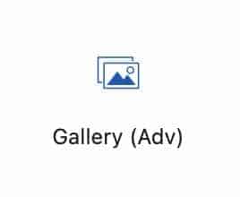 Kadence Gallery Block Guide for Beginners 4 screenshot of the advance gallery block icon
