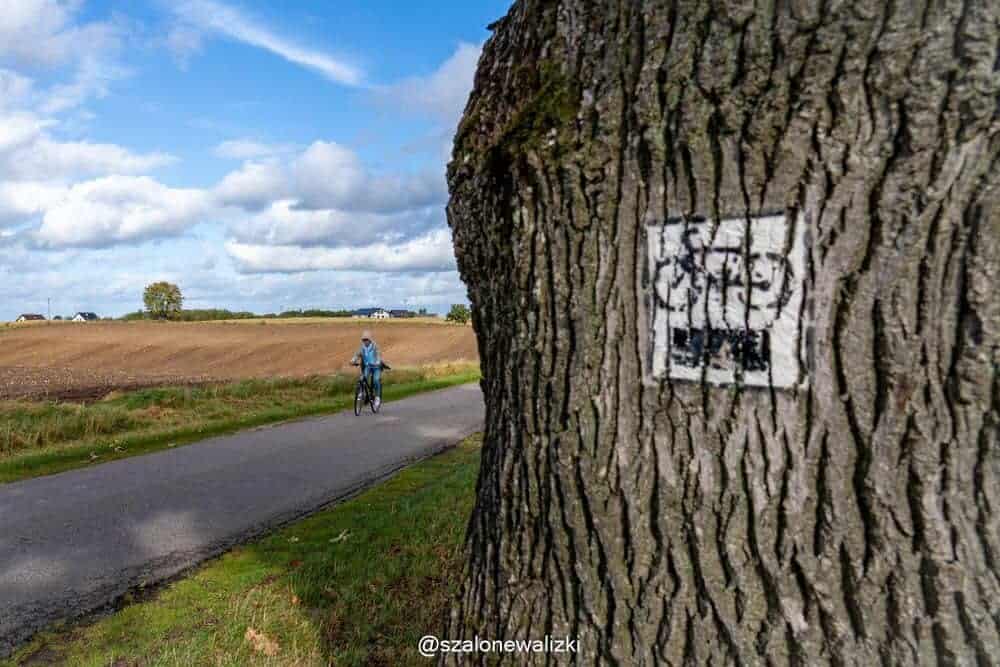 pojezierze pomorza zachodniego