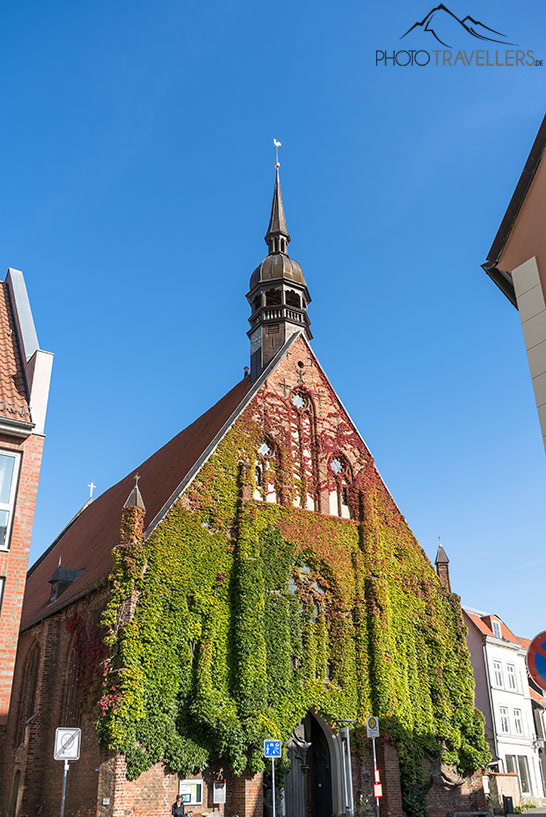 in Stralsund mit dem bunten Wein an der Fassade