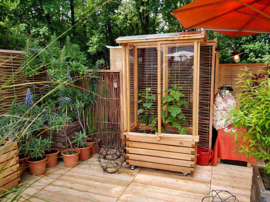 Tomatentram mit Gurken