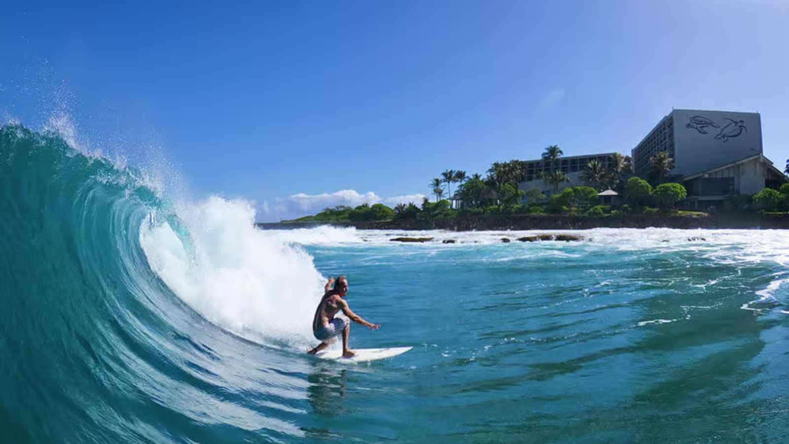 Surfing in Hawaii, USA
