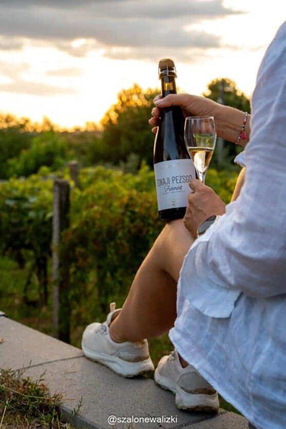 ścieżka rowerowa w Tokaju