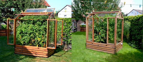 kleingewaechshaus-gartenfrosch-tomatenhaus-tuerstellungen