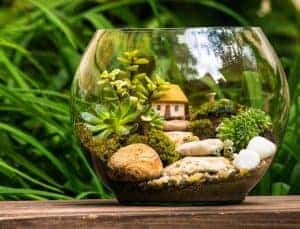 29339933_942961642577133_6738256139223302144_n