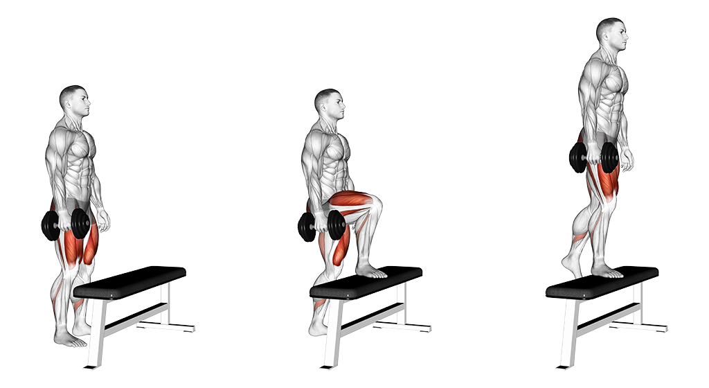 Dumbbell Step Ups