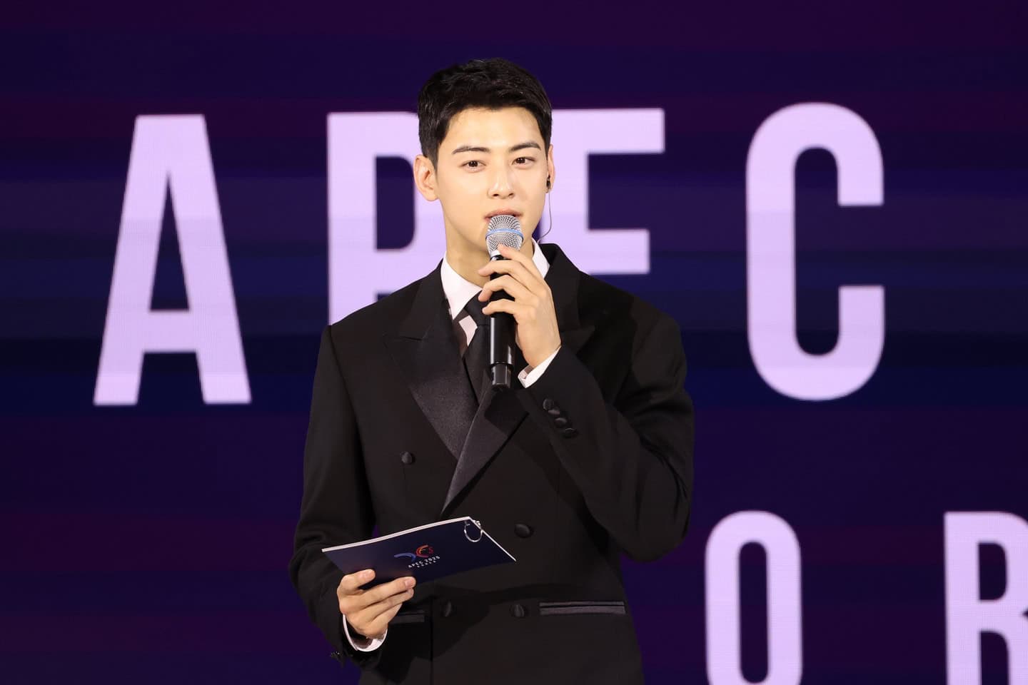 Cha Eun-woo tax penalty