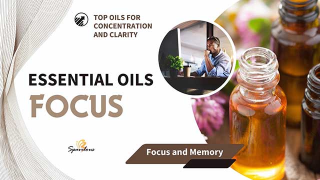 ESSENTIAL OILS FOR FOCUS: TOP OILS FOR CONCENTRATION AND CLARITY 4 list of essential oils for concentration
