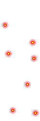 OSMO Patch Bursitis