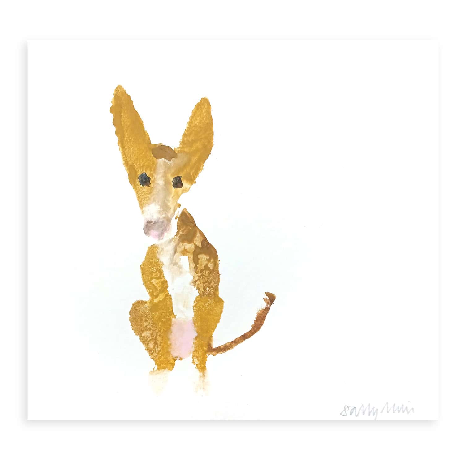 4708C Tan and White Dog with Big Ears – Sally Muir