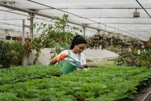 外籍移工｜嚴防颱風致災 籲雇主及移工落實防颱準備示意圖