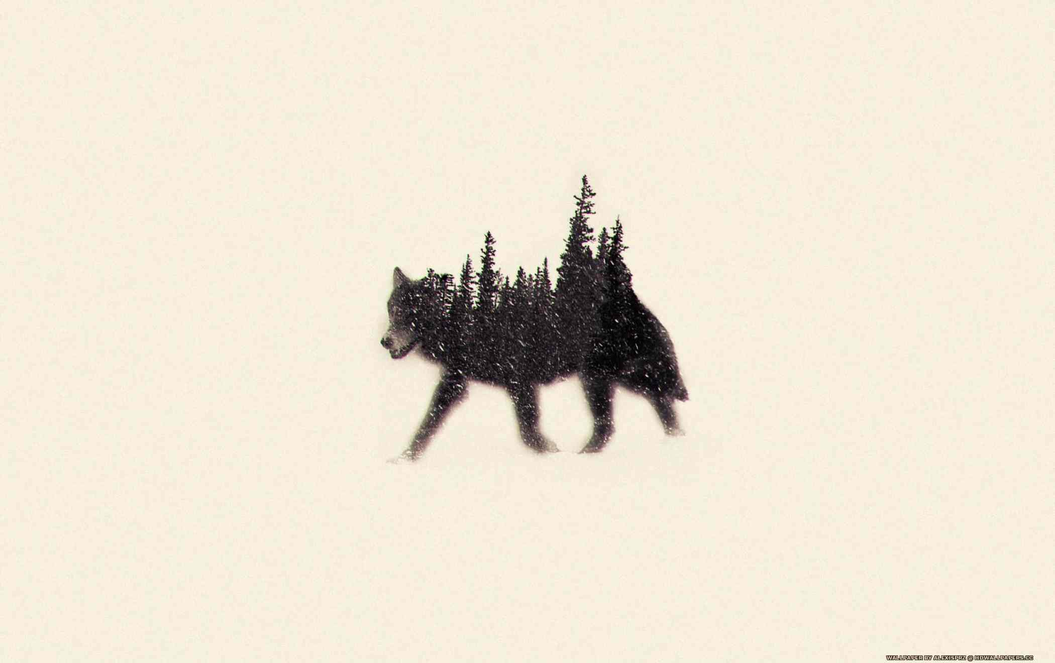 wolf