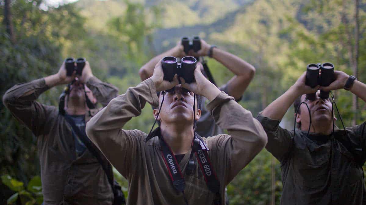 Das Bild zeigt Menschen beim Birdwatching