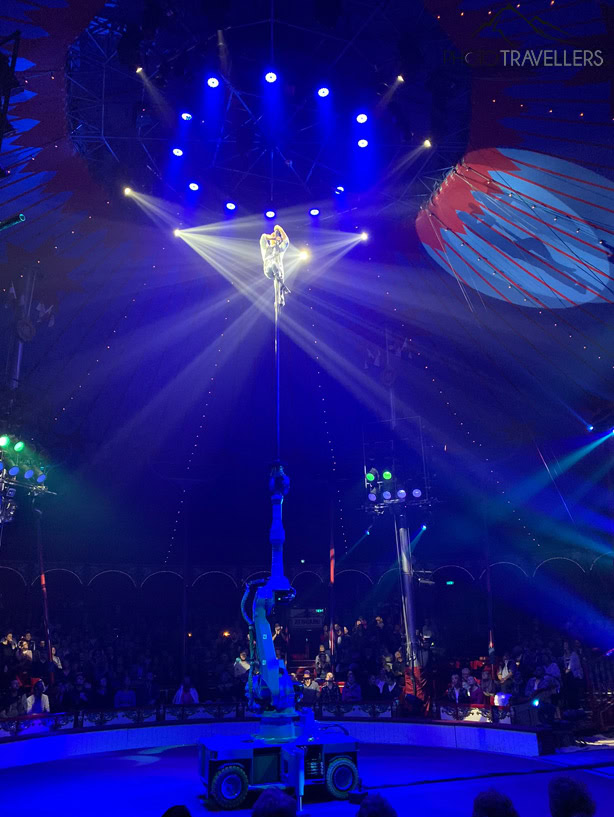 Artist im Circus