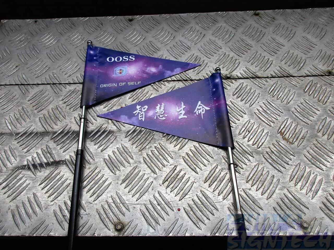 Double sided telescopic tour guide flag