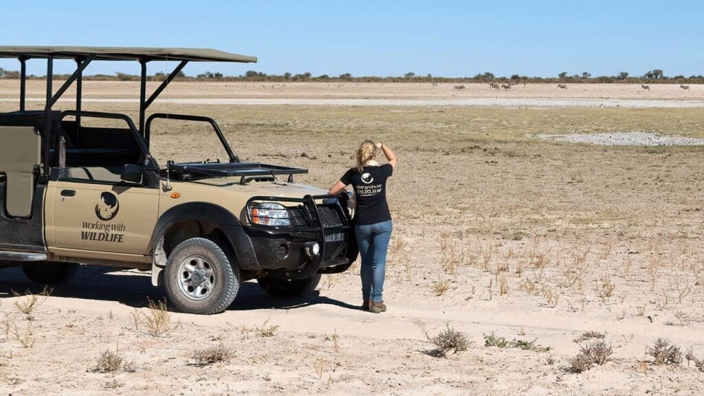 kalahari-safari-guest-wildlife-conservation Wildlife Kalahari Safari Conservation Experience