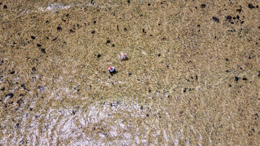 wyspy zielonego przylądka