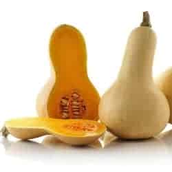 bostanel zucca calabacín Squash legume ordonate alfabetic
