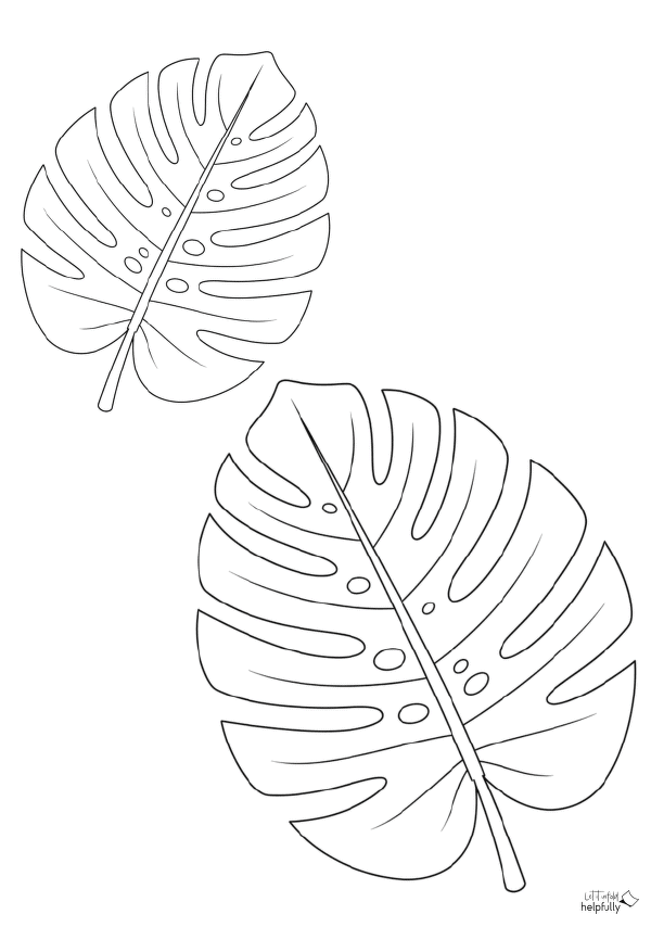 Mostera Blätter zum Ausdrucken und Ausmalen für Erwachsene