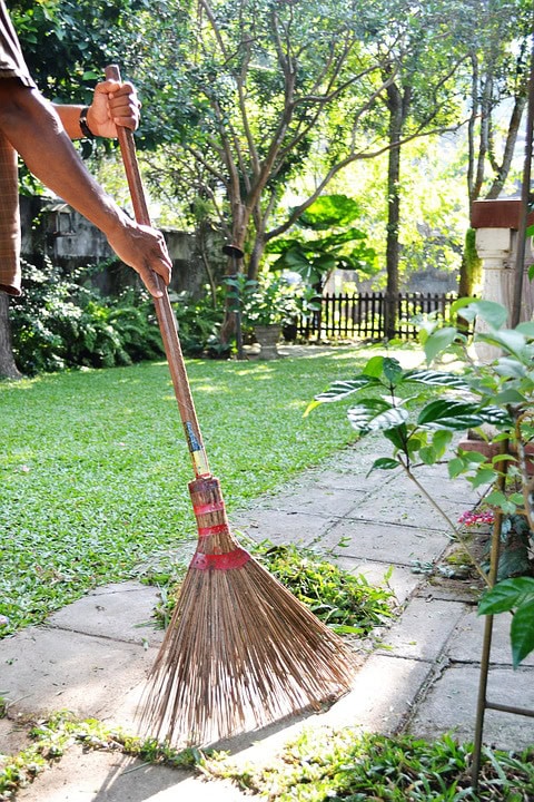 Garden Gardening Sri Lanka Mawanella Sweep Clean 221399