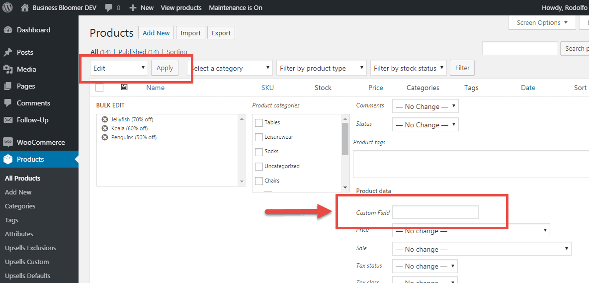 Add meta field to the WooCommerce Default Editor by coding