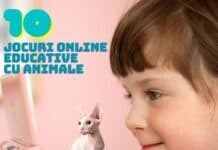 10 Jocuri Online Educative cu Animale pentru Copii Mici Jocuri Online Educative cu Animale pentru Copii Mici gokid pisica