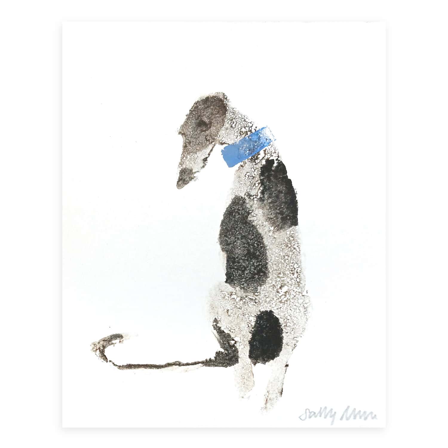 4705C Patchy Black and White Dog with Blue Collar – Sally Muir