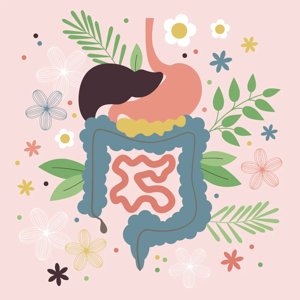 Good Mood Starts in Gut