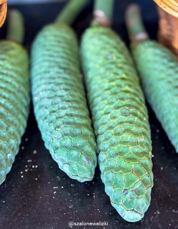 gdzie zjeść na maderze