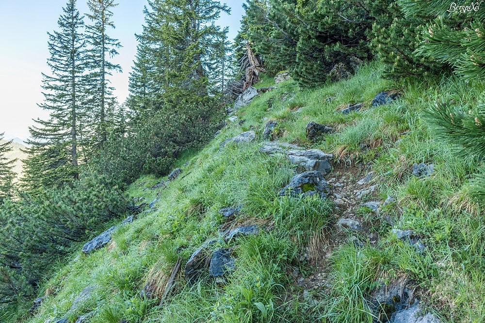 Ein schmaler Weg auf einer Bergflanke