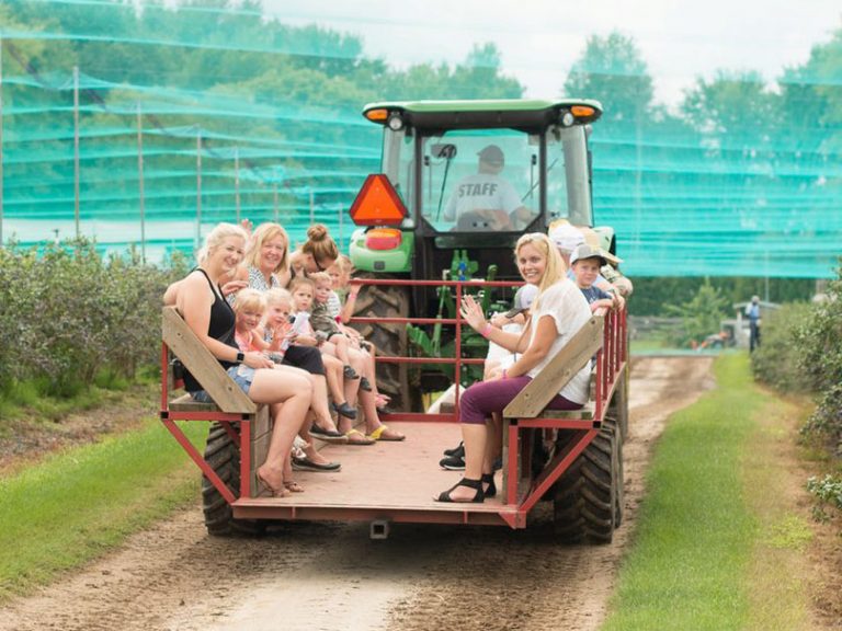 Wagon Rides to farm fields