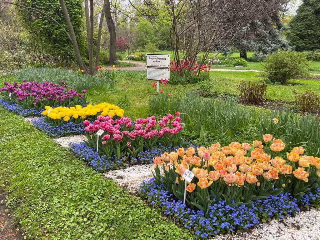 ce facem cu copilul in bucuresti iesire la Gradina Botanica