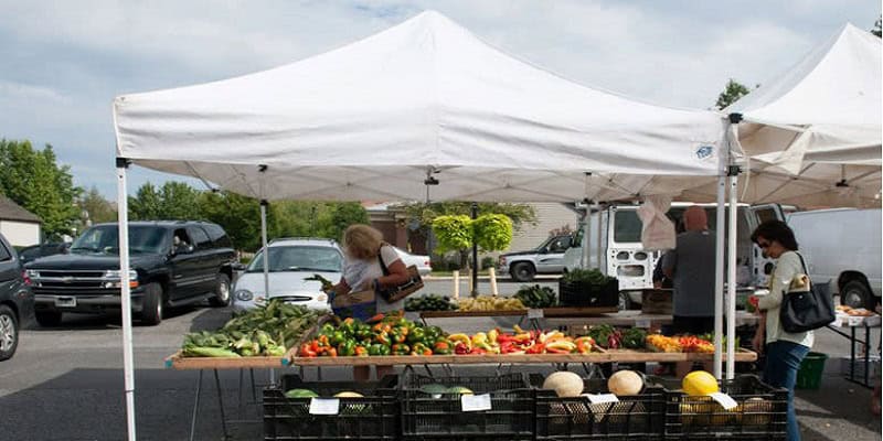 Great Falls Farmers Market is open from 9 am - 1 pm every Saturday.