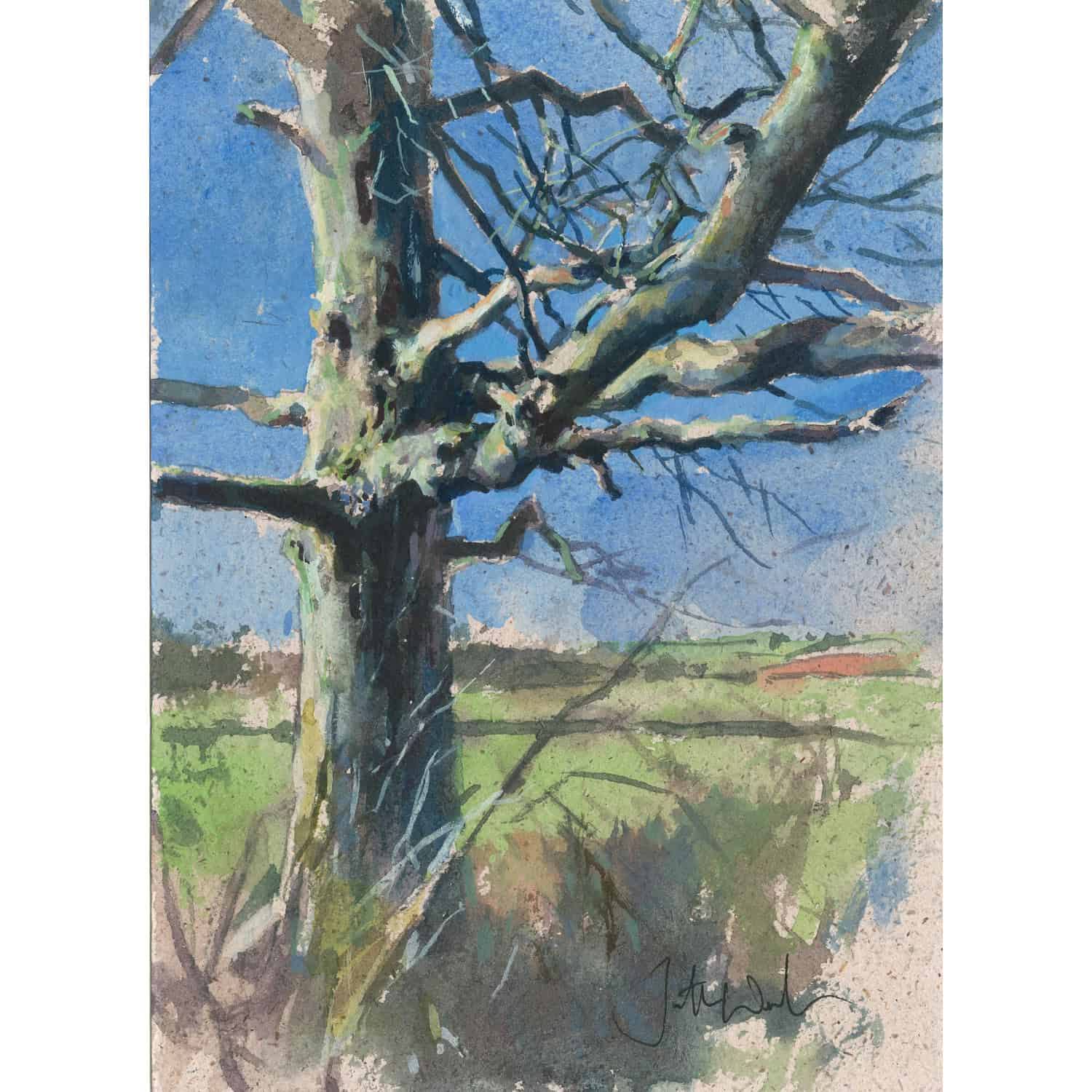 2018C Old Bones – Jonathan Walker