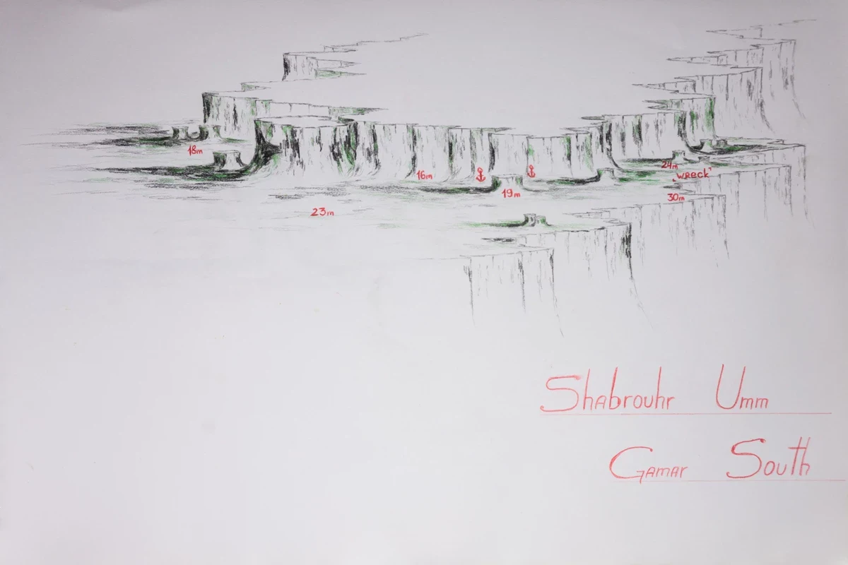 Shaab Ruhr Umm Gamar Süd - Riffe in Hurghada