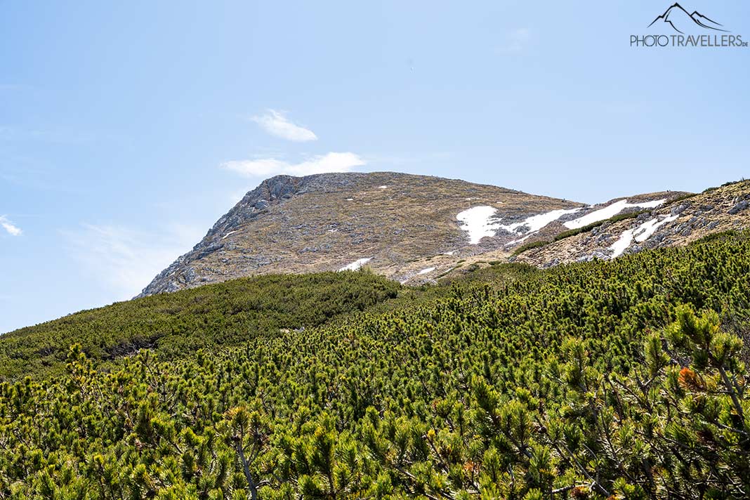 Der Blick hinauf zum Schneibstein-Gipfel