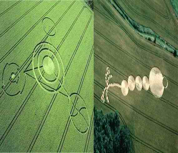 mechanics_of_reproduction